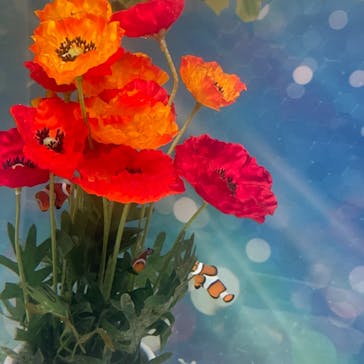 マクセル アクアパーク品川に投稿された画像（2021/7/31）