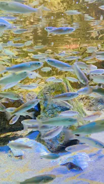 名古屋港水族館に投稿された画像（2021/7/31）