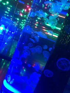 マクセル アクアパーク品川に投稿された画像（2021/7/31）