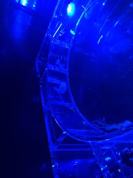 マクセル アクアパーク品川に投稿された画像（2021/7/31）