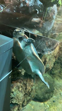 名古屋港水族館に投稿された画像（2021/7/31）