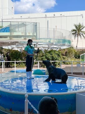 サンシャイン水族館に投稿された画像（2021/7/31）