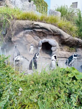 サンシャイン水族館に投稿された画像（2021/7/31）