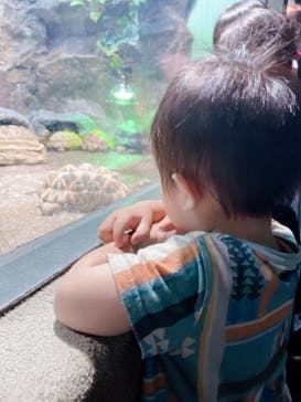 サンシャイン水族館に投稿された画像（2021/7/31）