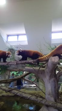 那須どうぶつ王国に投稿された画像（2021/7/31）