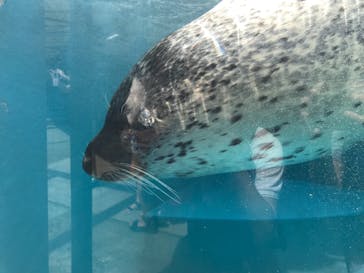鳥羽水族館に投稿された画像（2021/7/31）