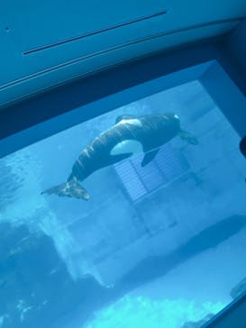 名古屋港水族館に投稿された画像（2021/7/31）