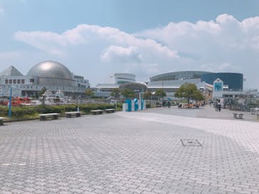 名古屋港水族館に投稿された画像（2021/7/31）