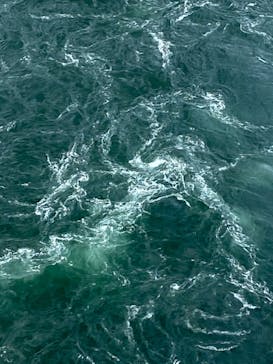 徳島県立 渦の道に投稿された画像（2021/7/31）