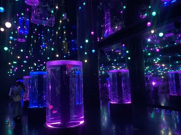 マクセル アクアパーク品川に投稿された画像（2021/7/31）