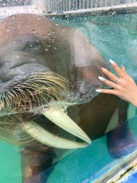 ゼロ距離水族館 伊勢シーパラダイスに投稿された画像（2021/7/31）