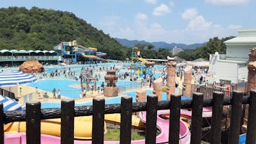 日本モンキーパークに投稿された画像（2021/7/31）