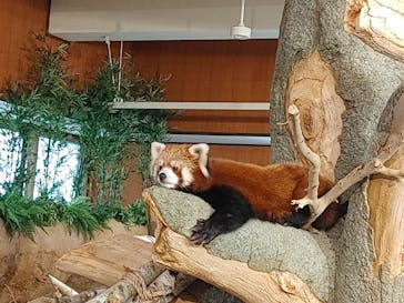 ネオパークオキナワに投稿された画像（2021/7/31）