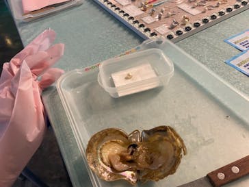 しながわ水族館に投稿された画像（2021/7/31）