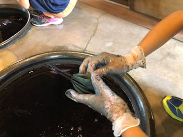 藍染工房　壺草苑に投稿された画像（2021/7/31）