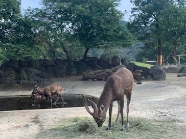 姫路セントラルパークに投稿された画像（2021/7/31）