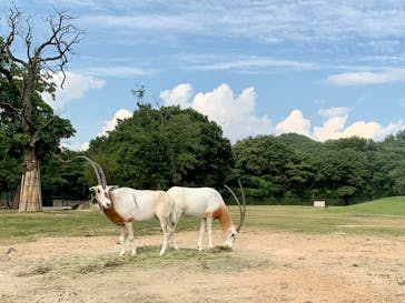 姫路セントラルパークに投稿された画像（2021/7/31）