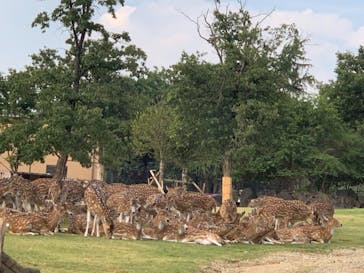 姫路セントラルパークに投稿された画像（2021/7/31）