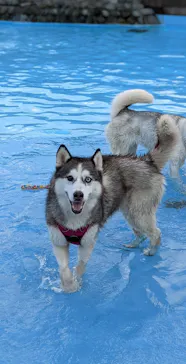 わんダフルネイチャーヴィレッジに投稿された画像（2021/8/1）