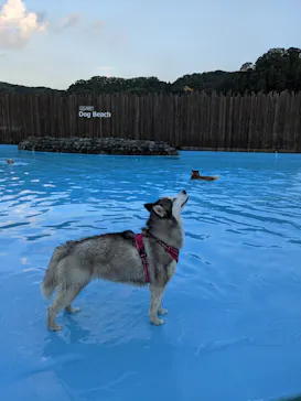 わんダフルネイチャーヴィレッジに投稿された画像（2021/8/1）