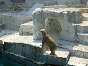 天王寺動物園に投稿された画像（2021/8/1）