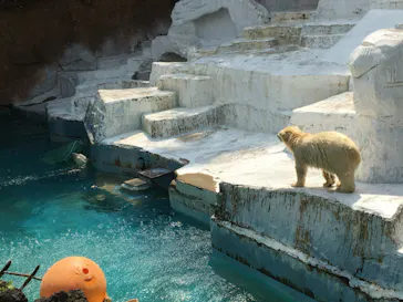天王寺動物園に投稿された画像（2021/8/1）
