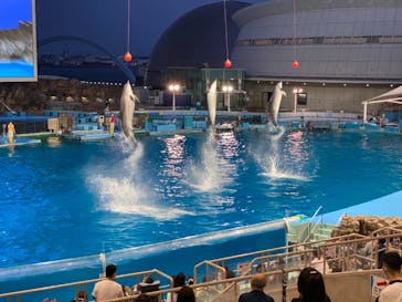 名古屋港水族館に投稿された画像（2021/8/1）