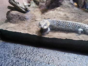 体感型動物園iZooに投稿された画像（2021/8/1）