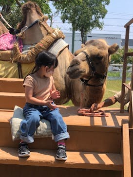 神戸どうぶつ王国に投稿された画像（2021/8/1）