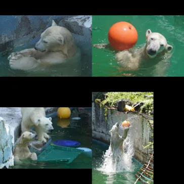 天王寺動物園に投稿された画像（2021/8/1）