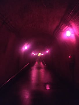 清津峡渓谷トンネルに投稿された画像（2021/8/1）