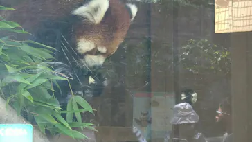 横浜・八景島シーパラダイスに投稿された画像（2021/8/1）