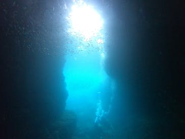 武藤潜水に投稿された画像（2021/8/1）