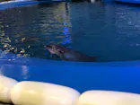 仙台うみの杜水族館に投稿された画像（2021/8/1）