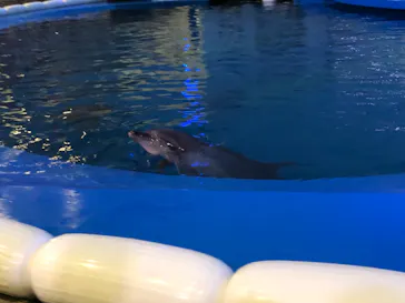 仙台うみの杜水族館に投稿された画像（2021/8/1）