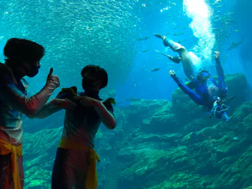 仙台うみの杜水族館に投稿された画像（2021/8/1）