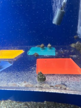 サンシャイン水族館に投稿された画像（2021/8/1）