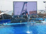 名古屋港水族館に投稿された画像（2021/8/1）