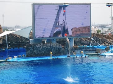 名古屋港水族館に投稿された画像（2021/8/1）