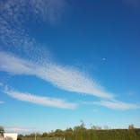 蓮沼ウォーターガーデンに投稿された画像（2021/8/1）