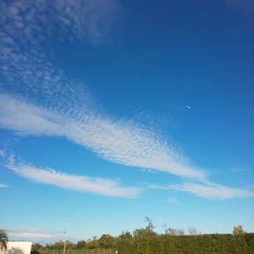 蓮沼ウォーターガーデンに投稿された画像（2021/8/1）