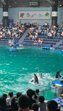 マクセル アクアパーク品川に投稿された画像（2021/8/1）