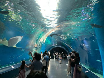 マクセル アクアパーク品川に投稿された画像（2021/8/1）