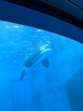 名古屋港水族館に投稿された画像（2021/8/1）