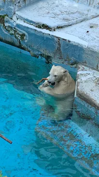 天王寺動物園に投稿された画像（2021/8/1）