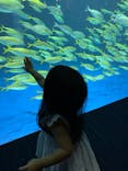 四国水族館に投稿された画像（2021/8/1）