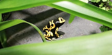 サンシャイン水族館に投稿された画像（2021/8/1）