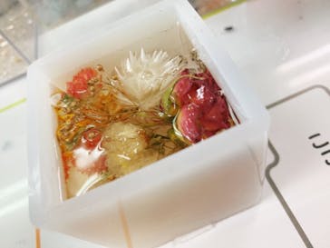 ずこうしつ〜sugamo〜に投稿された画像（2021/8/1）