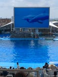 名古屋港水族館に投稿された画像（2021/8/1）