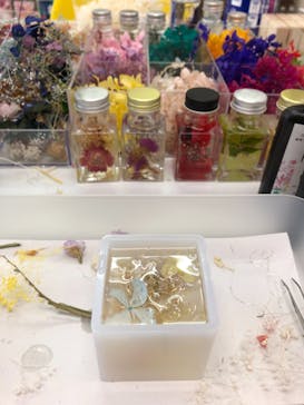 ずこうしつ〜sugamo〜に投稿された画像（2021/8/1）